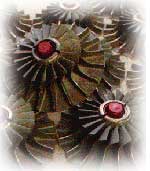 The Anodic Process